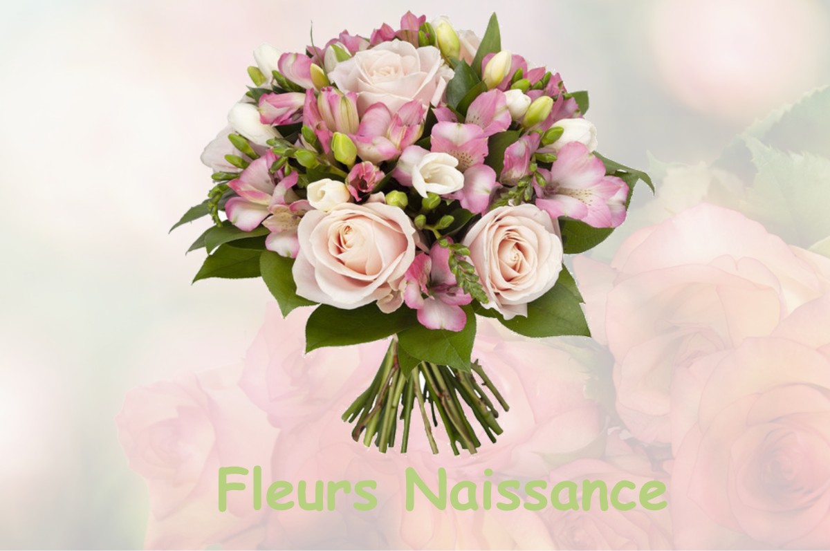 fleurs naissance BELLECOMBE