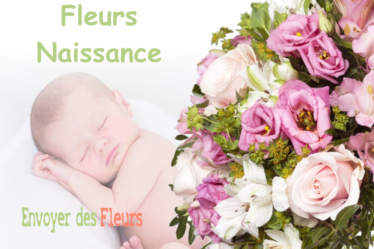 lIVRAISON FLEURS NAISSANCE à BELLECOMBE